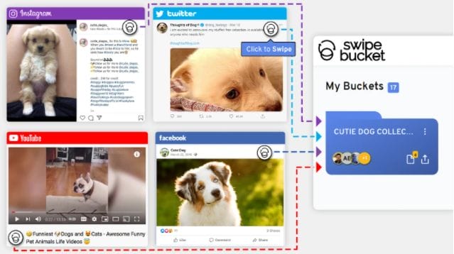 Buy Software Apps Swipebucket Lifetime Deal content 1