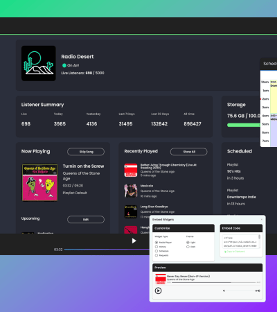 Radiolize Lifetime Deal for $99
