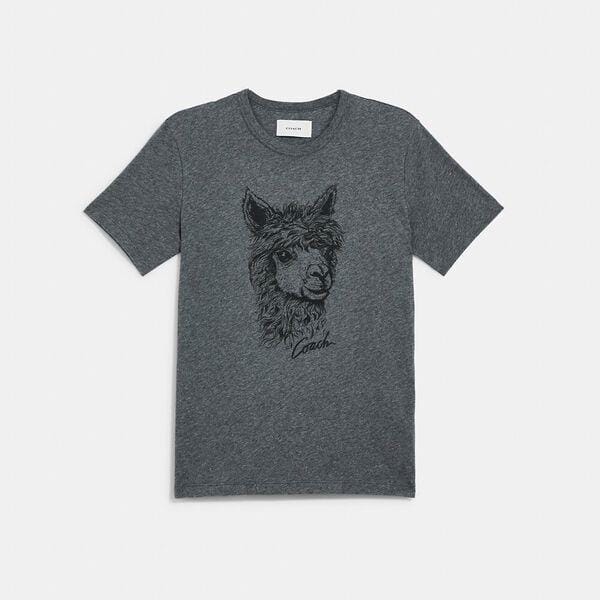 Fashion 4 - Alpaca Graphic T-Shirt