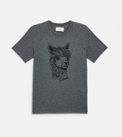 Fashion 4 - Alpaca Graphic T-Shirt