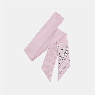 Fashion 4 - BANDANA PRINT SILK SKINNY SCARF