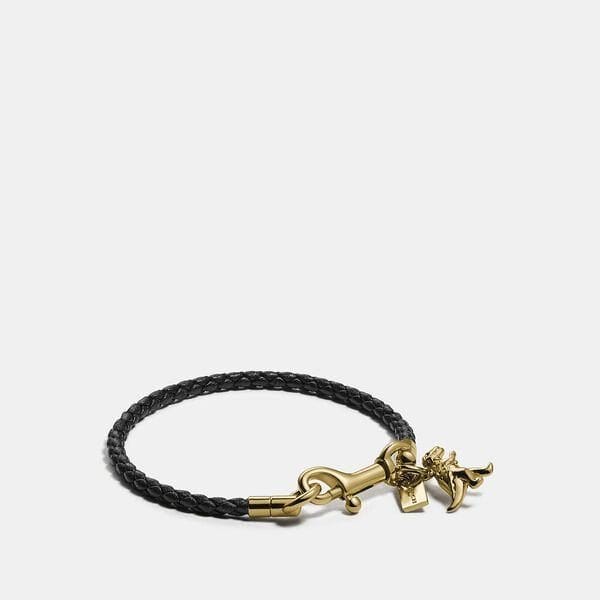 Fashion 4 - Braided Friendship Bracelet With Rexy Charm