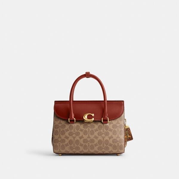 Fashion 4 - Broome Carryall In Signature Canvas With Snakeskin Detail