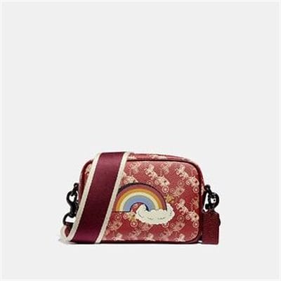 Fashion 4 - CAMERA BAG 16 WITH HORSE AND CARRIAGE PRINT AND RAINBOW