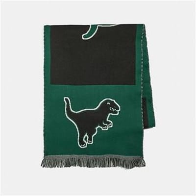 Fashion 4 - COACH SPORT SCARF