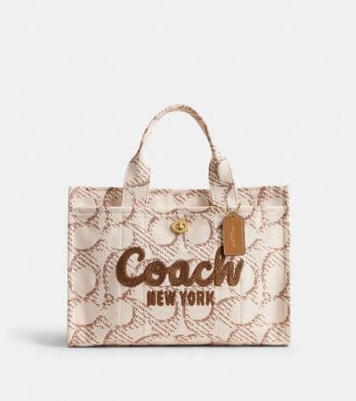 Fashion 4 - Cargo Tote Bag With Signature Canvas