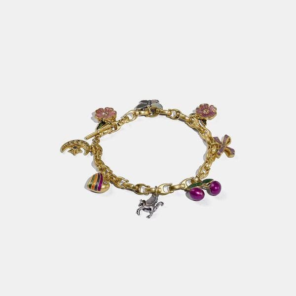 Fashion 4 - Charming Charm Bracelet