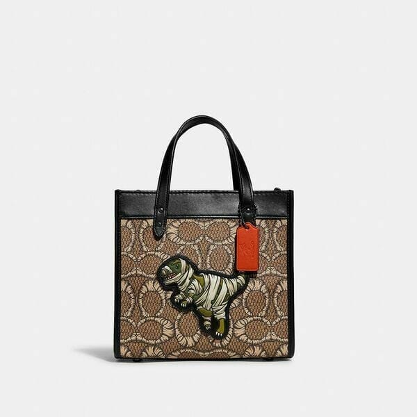 Fashion 4 - Coach x Michael B. Jordan Field Tote 22 In Mummified Signature Canvas With Rexy