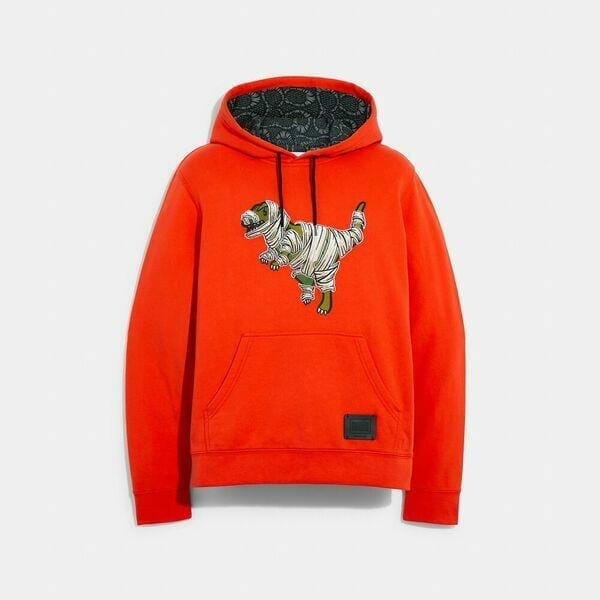 Fashion 4 - Coach x Michael B. Jordan Hoodie In Organic Cotton With Mummified Rexy