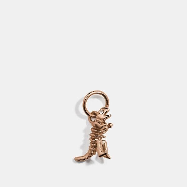 Fashion 4 - Collectible Skeletal Rexy Charm