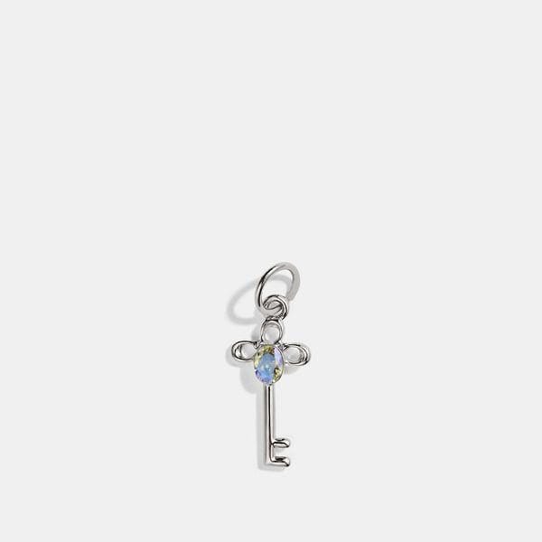 Fashion 4 - Collectible Skeleton Key Charm