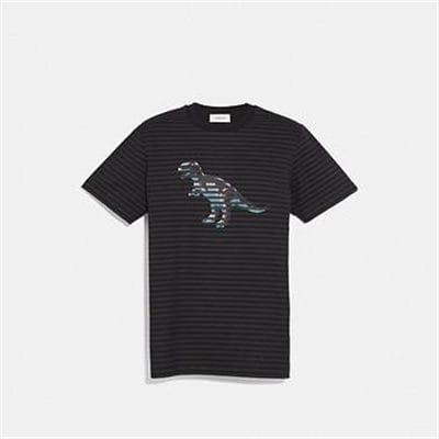 Fashion 4 - DINOSAUR STRIPE T-SHIRT