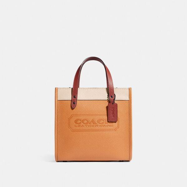 Fashion 4 - Field Tote 22 In Colorblock With Coach Badge And Whipstitch