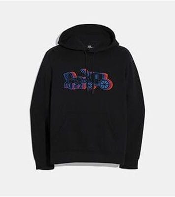 Fashion 4 - HORSE AND CARRIAGE HOODIE