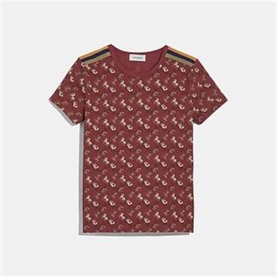 Fashion 4 - HORSE AND CARRIAGE PIQUE T-SHIRT