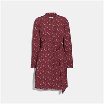 Fashion 4 - HORSE AND CARRIAGE PRINT PLEATED SHIRT DRESS