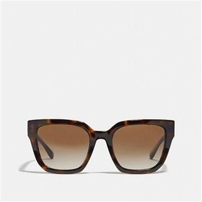 Fashion 4 - HORSE AND CARRIAGE SQUARE SUNGLASSES