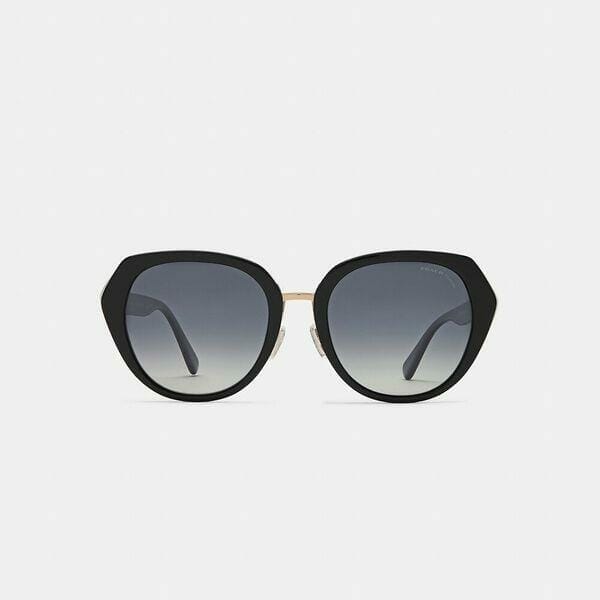 Fashion 4 - Horse And Carriage Oversized Round Sunglasses