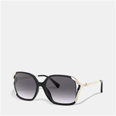 Fashion 4 - OVERSIZED HORSE AND CARRIAGE SUNGLASSES