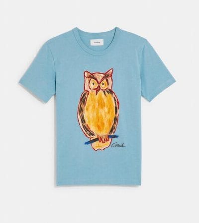 Fashion 4 - Painted Owl T-Shirt