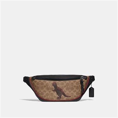 Fashion 4 - RIVINGTON BELT BAG IN SIGNATURE CANVAS WITH REXY BY SUI JIANGUO