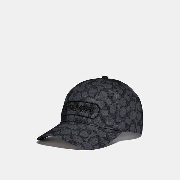 Fashion 4 - Signature Baseball Hat