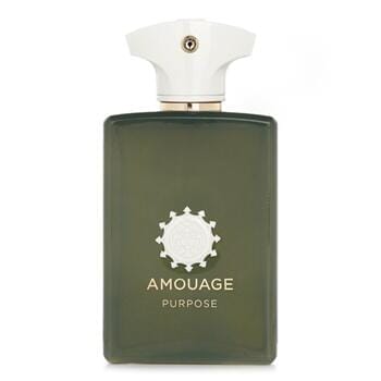 OJAM Online Shopping - Amouage Purpose Eau De Parfum Spray 100ml/3.4oz Men's Fragrance