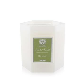 OJAM Online Shopping - Antica Farmacista Candle - Fig Leaf 255g/9oz Home Scent