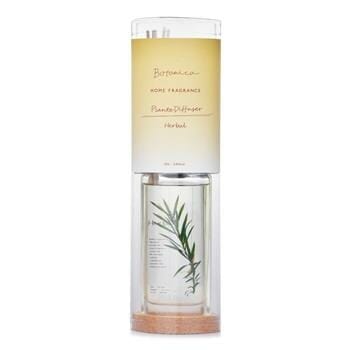 OJAM Online Shopping - Botanica Home Fragrance Plante Diffuser - Herbal 145ml/4.9oz Home Scent