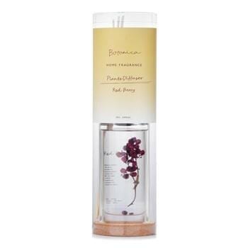 OJAM Online Shopping - Botanica Home Fragrance Plante Diffuser - Red Berry 145ml/4.9oz Home Scent