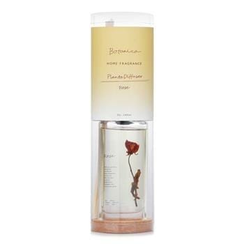 OJAM Online Shopping - Botanica Home Fragrance Plante Diffuser - Rose 145ml/4.9oz Home Scent