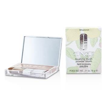 OJAM Online Shopping - Clinique Blushing Blush Powder Blush - # 120 Bashful Blush 6g/0.21oz Make Up