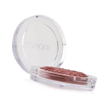 OJAM Online Shopping - Clinique Cheek Pop - # 17 Black Honey Pop 3.5g/0.12oz Make Up