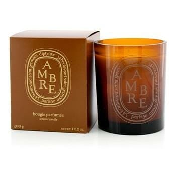 OJAM Online Shopping - Diptyque Scented Candle - Ambre (Amber) 300g/10.2oz Home Scent