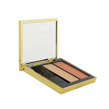 OJAM Online Shopping - Estee Lauder Pure Color Envy Sculpting Blush + Highlighter Duo - # Sinful Peach 6g/0.21oz Make Up