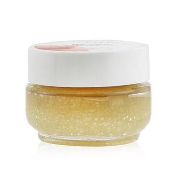 OJAM Online Shopping - Farmhouse Fresh Lip Polish - Whoopie 20.5g/0.72oz Skincare