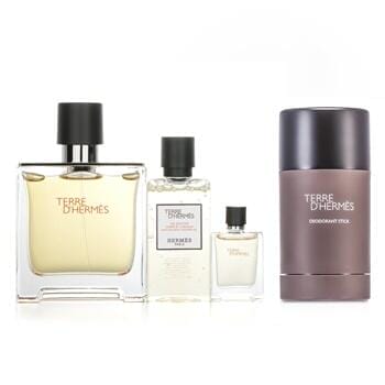 OJAM Online Shopping - Hermes Hermes Terre D'Hermes Pure Set + Terre D'Hermes Deodorant Stick 2pcs Men's Fragrance