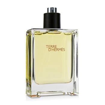 OJAM Online Shopping - Hermes Terre D'Hermes Eau De Toilette Spray 100ml/3.4oz Men's Fragrance