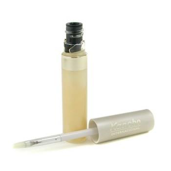 OJAM Online Shopping - Kanebo Mode Gloss - # MG10 Honey Mode 6.8ml/0.23oz Make Up