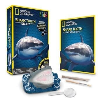 OJAM Online Shopping - National Geographic National Geographic Shark Tooth Dig Kit 18 x 6 x 25cm Toys