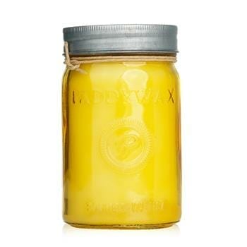 OJAM Online Shopping - Paddywax Relish Candle - Fresh Meyer Lemon 269g/9.5oz Home Scent