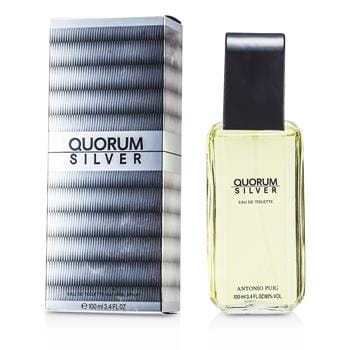 OJAM Online Shopping - Puig Quorum Silver Eau De Toilette Spray 100ml/3.4oz Men's Fragrance