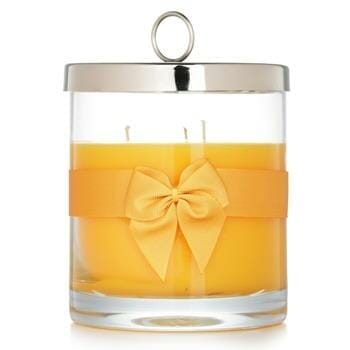 OJAM Online Shopping - Rigaud Scented Candle - # Tournesol 750g/26.45oz Home Scent