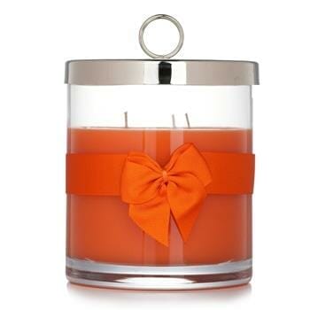 OJAM Online Shopping - Rigaud Scented Candle - # Vesuve 750g/26.45oz Home Scent