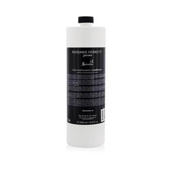 OJAM Online Shopping - Rossano Ferretti Parma Splendido 01 Colour Maintenance Conditioner (Salon Product) 1000ml/33.8oz Hair Care